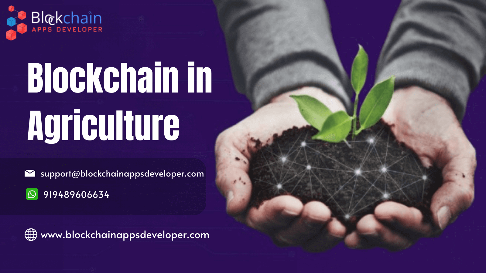 Blockchain-Driven Agricultural Solutions: Transforming Food Production