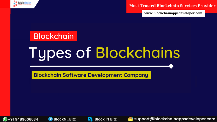 What are the Different Types of Blockchains? - Decide which one is suitable for your Business