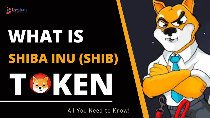 What Is SHIBA INU (SHIB)? - All You Need To Know