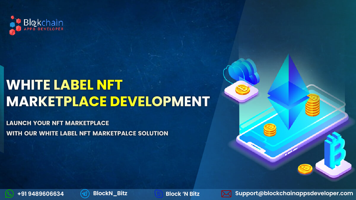 White label NFT Marketplace Development Company