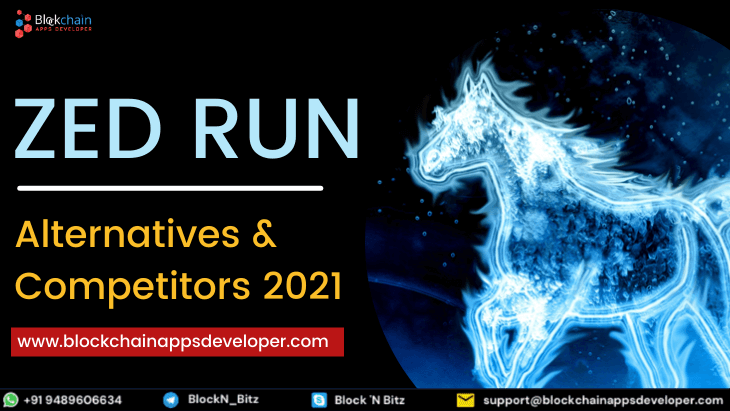 Zed Run Alternatives And Competitors - All You Need To Know!